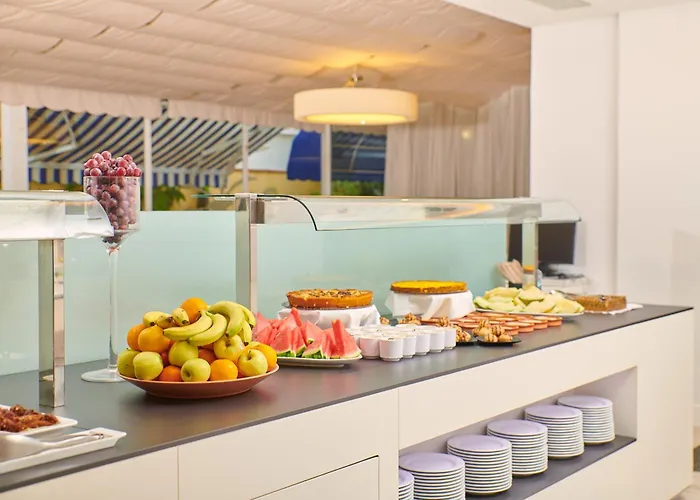 Dwo Les Palmeres Hotel Calella