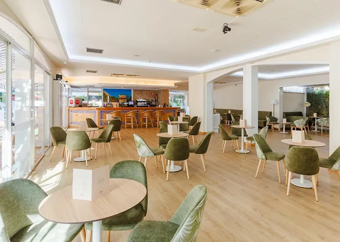 Dwo Les Palmeres Hotel