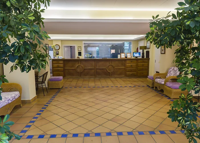 Dwo Les Palmeres Hotel Calella