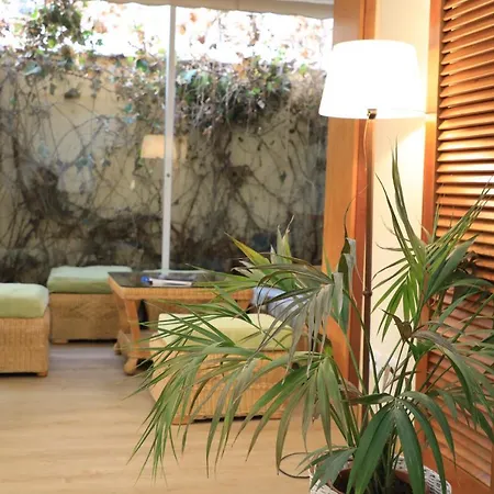 Dwo Les Palmeres 4* Calella