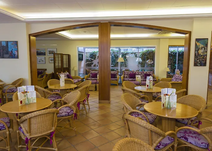 Dwo Les Palmeres Отель