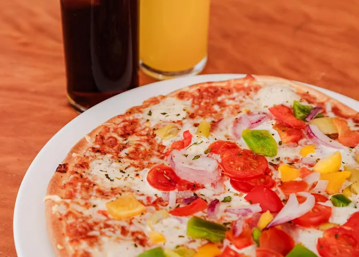 酒店 Dwo Les Palmeres